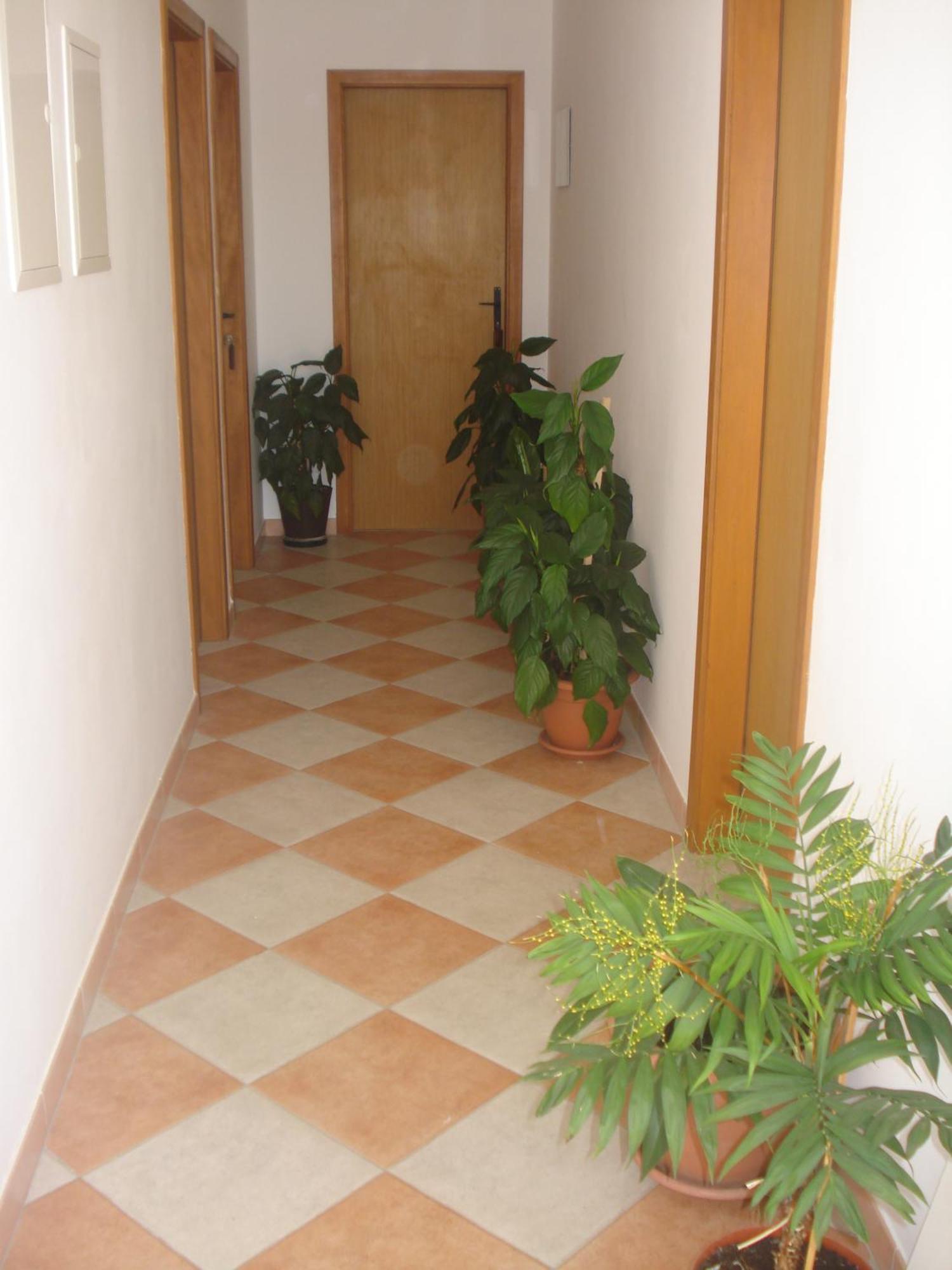 Apartments San Giorgio Sućuraj Εξωτερικό φωτογραφία